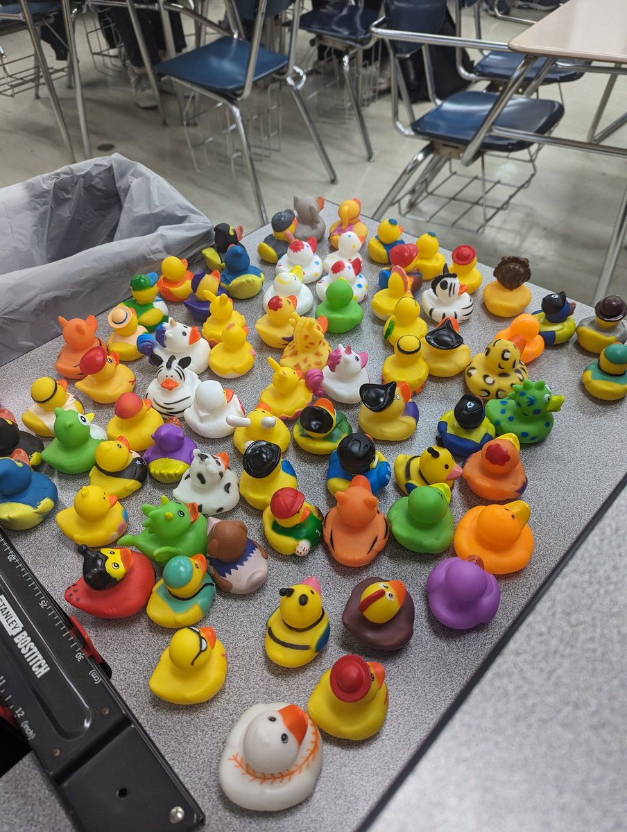 Maddy_G_Franco's tweet image. Rubber Ducky Debugger. WY AP CSP students selecting their debugging friend. #ilearncs #APCSP #wyoung #CPS  @cs4allcps @ECCECPS @wyhs @csteachersorg