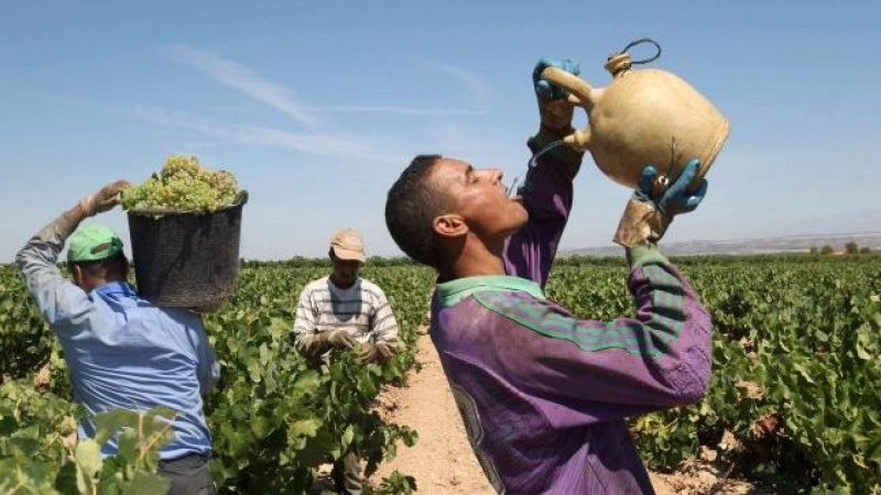 lemonlemonlimon's tweet image. No te confundas, mostro: con la gente del campo sí que estamos. Por eso aplaudimos las inspecciones que sancionaron al 42% de los inspeccionados por tener a trabajadores en condiciones de semiesclavitud.

Muchos de los sancionados están hoy haciendo el canelo con el tractor.