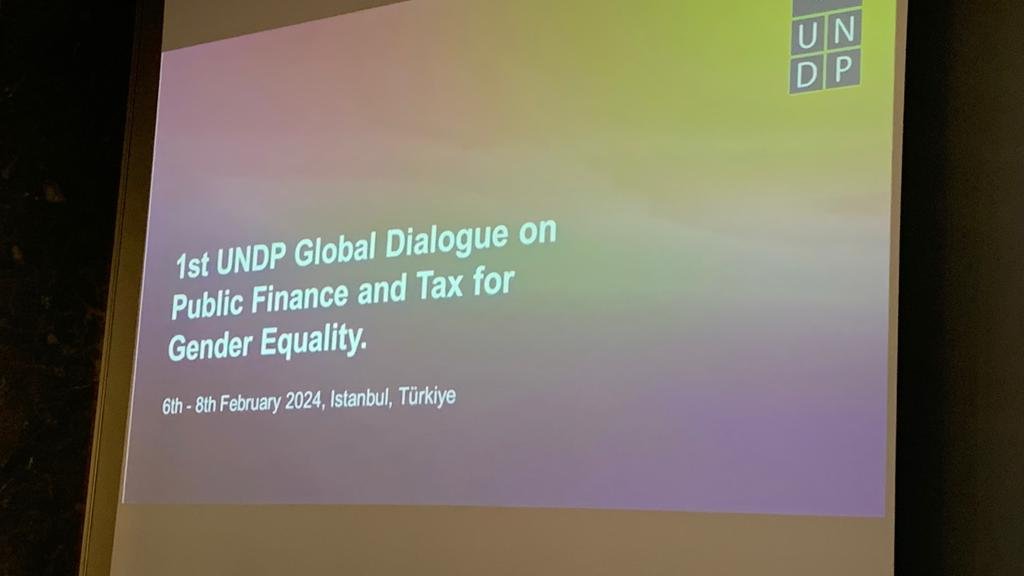 Absolutely thrilled to attend the 1st UNDP Global Dialogue on Public Finance and Tax for Gender Equality in Istanbul, Türkiye, Feb 6-8, 2024! 😊 Excited to be alongside delegates from #UNDPMauritius, #UNDPSeychelles, #FinanceSC, #SRC_Seychelles, and @MRA_services
⬆️ #Equanomics