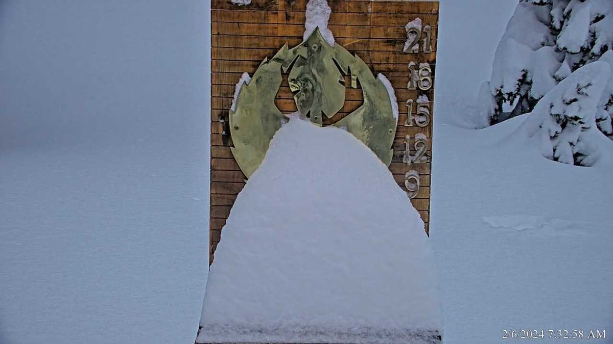 skideervalley's tweet image. Nice to see it antler's deep again!