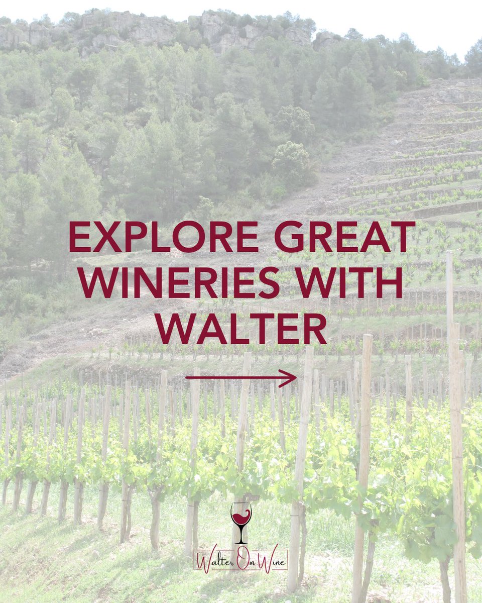 WalterOnWine's tweet image. 🍇 Explore Great Wineries With Walter 🌍

Stay tuned for Walter's upcoming article as he explores the rich history and exquisite wines of Priorat! 📖🍷

walteronwine.com

#walteronwine #wow #winerecommendations