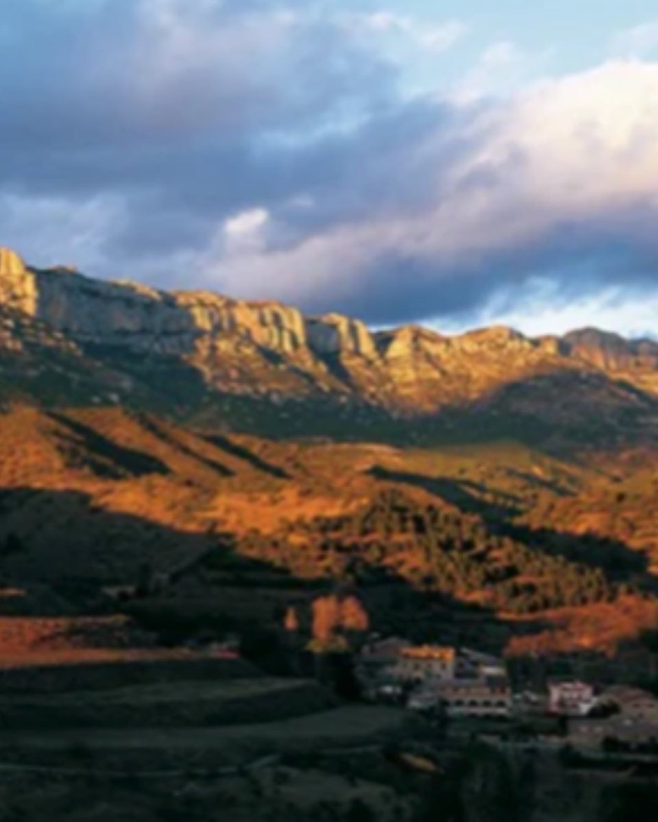 WalterOnWine's tweet image. 🍇 Explore Great Wineries With Walter 🌍

Stay tuned for Walter's upcoming article as he explores the rich history and exquisite wines of Priorat! 📖🍷

walteronwine.com

#walteronwine #wow #winerecommendations