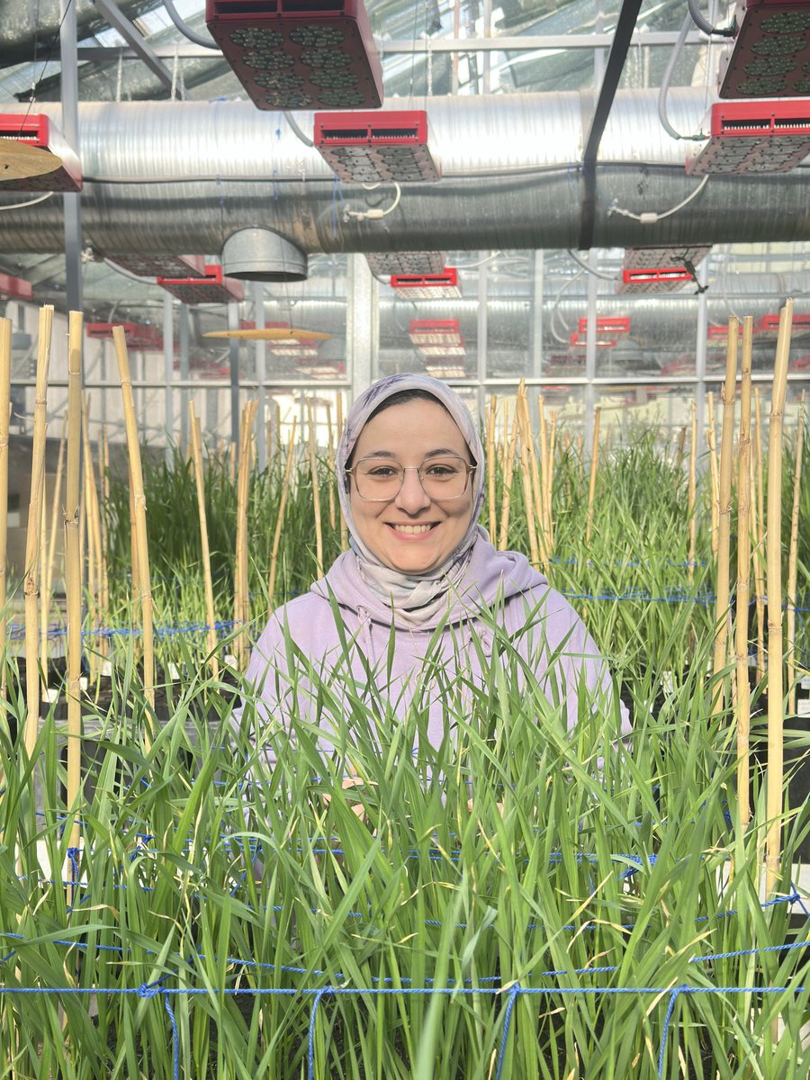 Hafssa Kabbaj tweet media