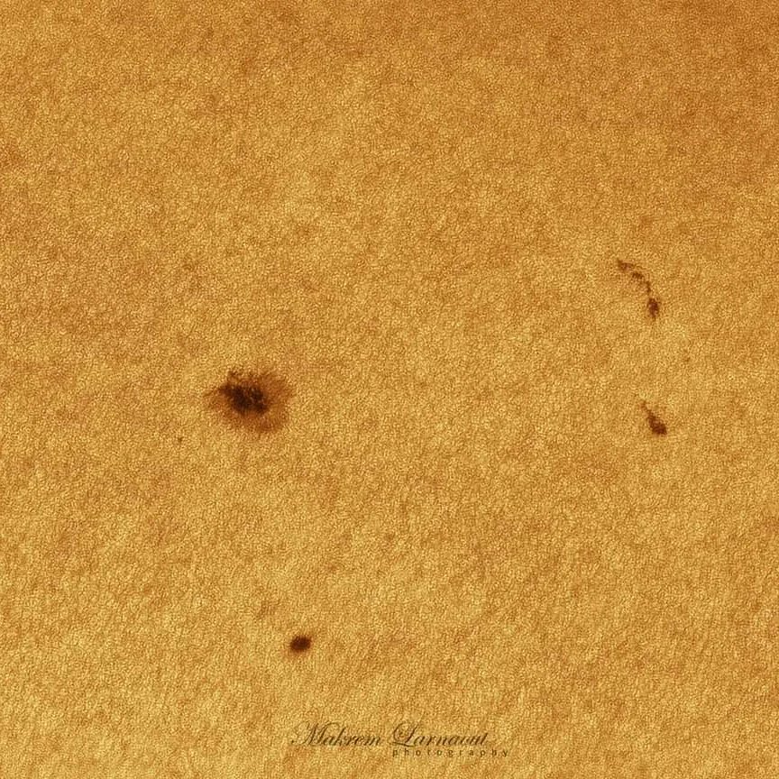 The Royal Astronomical Society tweet media