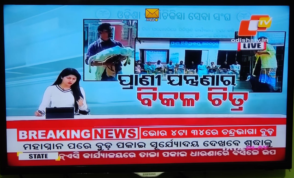 ovsacuttack's tweet photo. ସରକାର କେବେ କୁମ୍ଭକର୍ଣ୍ଣ ନିଦ୍ରାରୁ ଉଠିବେ? ଅସହାୟ ପଶୁପକ୍ଷୀ ଙ୍କ ଦୁଃଖ କେବେ ଶୁଣିବେ ସରକାର? #OdishaVetsOnProtest @CMO_Odisha @farddept @OVSA_ODISHA @dahvsodisha @Vkpandianfancl1 @MoSarkar5T https://t.co/iaMRukidPO
