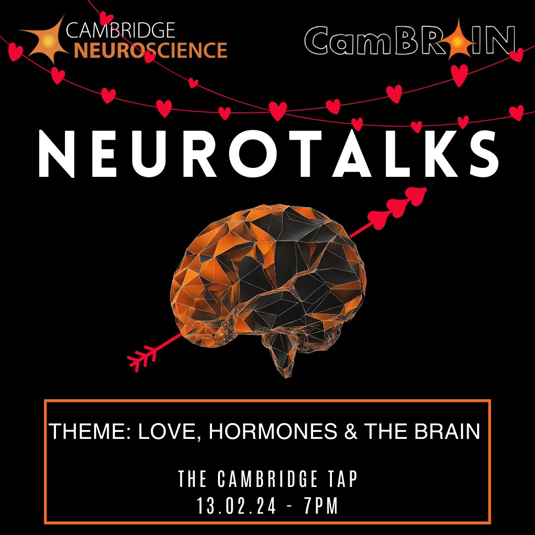 CamBrainCNS's tweet image. Just one week to go until our Valentine&apos;s edition of Neurotalks! We&apos;re welcoming @AlexTsompanidis, Isabella Beckett and @Lidia_Ripoll_S to talk about love, hormones and the brain 💕