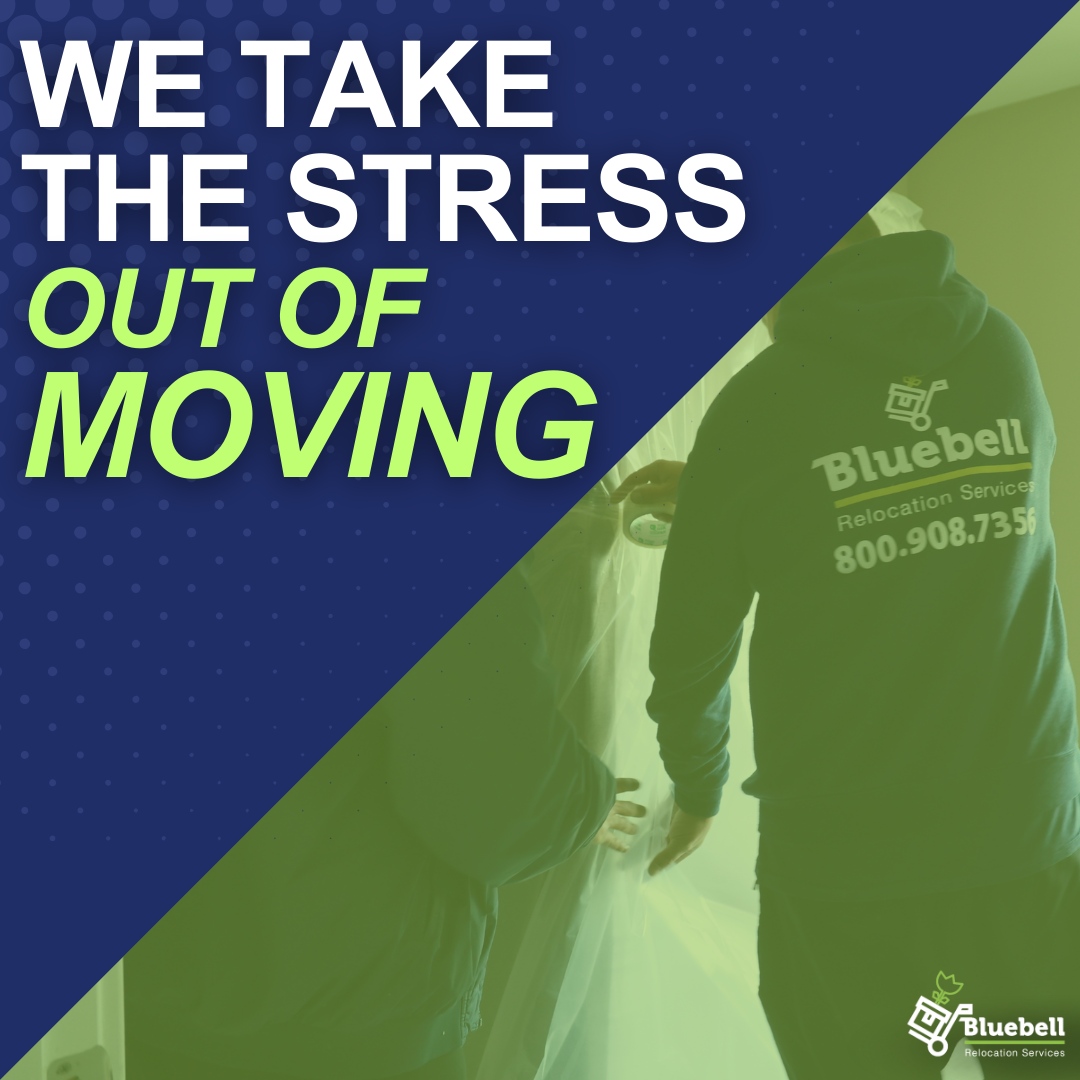 Bluebell Relocation tweet media