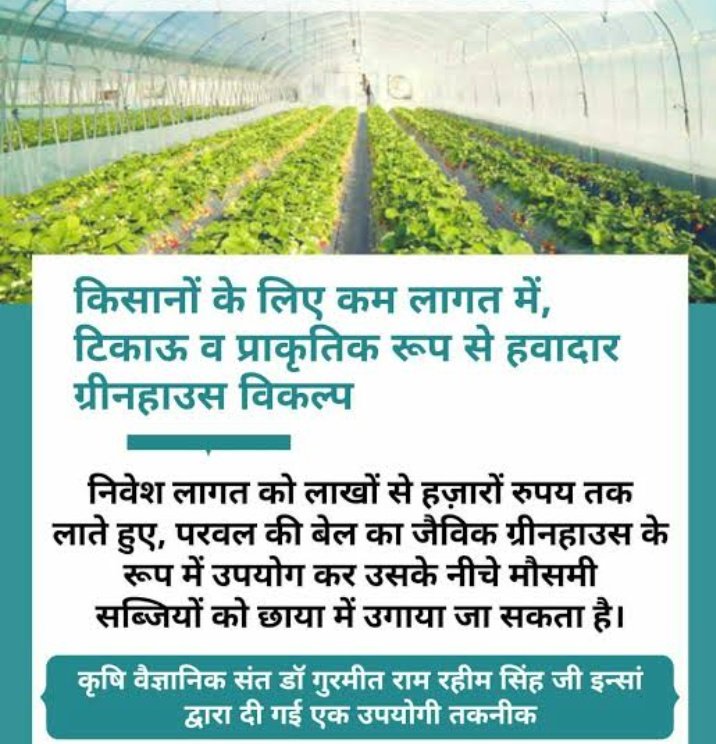 Revered Saint Ram Rahim Ji gives valueable #FarmingTips to the farmers for adopting the Organic Farming. Guru ji said that if you adpot the Scientific Farming then you can save the water, gain the healthy food & save the earth form chemical & pesticides.
#AgricultureTips