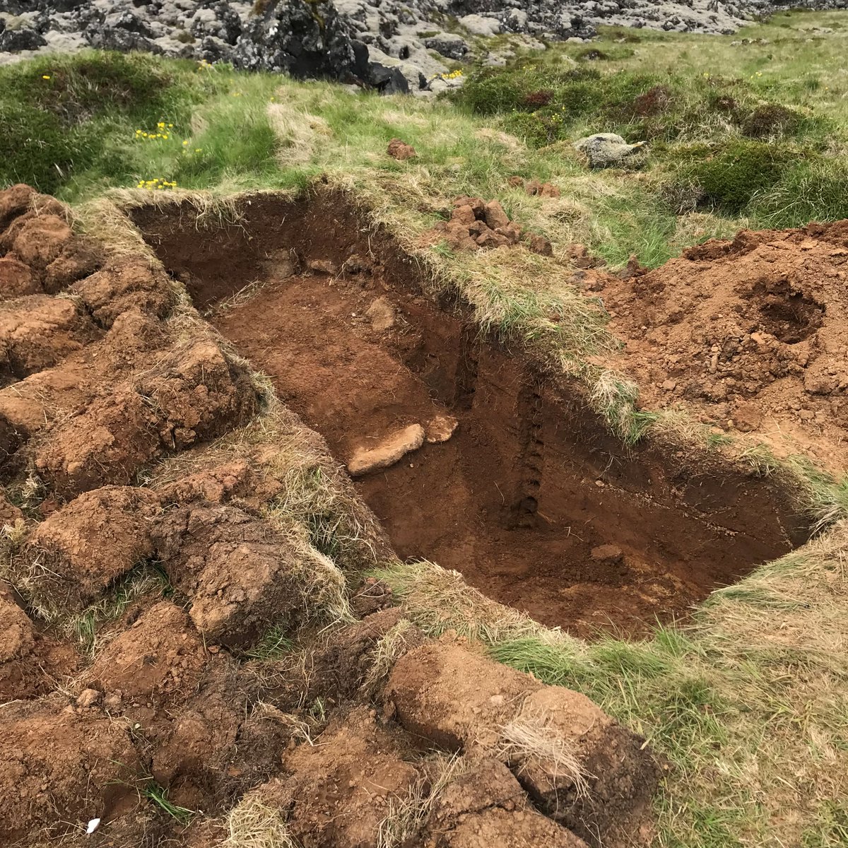 This year we trialled the applicability of the OSL profiling and dating methodology to the Icelandic soils with <a href="/GeoTimKinnaird/">Tim Kinnaird</a>. Although the results were disappointing, samples from two sites had promising results for future applications for other sites in Iceland! 1/2