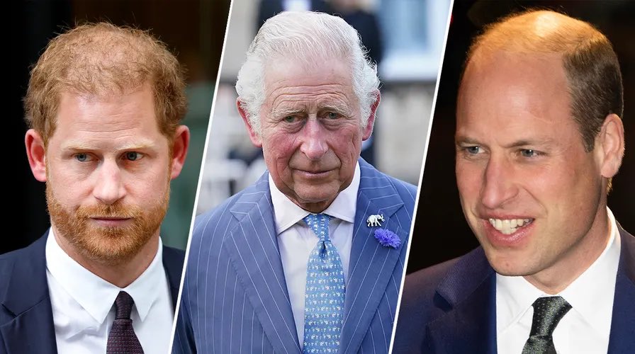 MeghansMole's tweet photo. Has anyone stopped and asked how Prince William is doing? 

All the UK media is pushing this stupid harry reconciliation BS

If I were William, I would NEVER trust that snake. Harry showed his true colours https://t.co/gOHJUjo0VZ