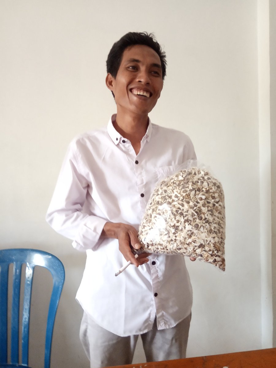 Mari Mulai Menanam pohon kelor, Dapat sehatnya dapat pula ekonomisnya