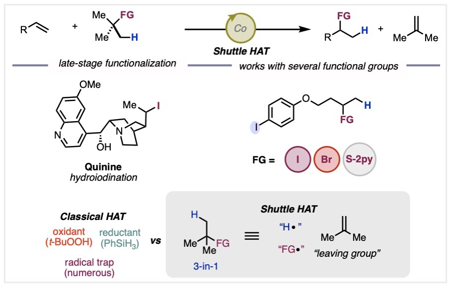 Congrats to Tanner Jankins <a href="/W0TangClan/">Tanner Jankins</a>, Philip Blank, Andrea Brugnetti, Philip Boehm and Françoise Aouane for introducing the shuttle HAT concept for mild transfer hydrofunctionalization reactions! doi.org/10.26434/chemr… <a href="/ChemRxiv/">ChemRxiv</a>. #shuttlecat
