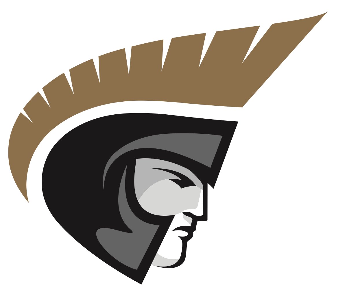 #AGTG blessed to have received an offer from Anderson. Thank you <a href="/CoachThurn/">James Thurn</a> 
<a href="/ReggieShaw77/">Reggie Shaw</a> @irishnd4life <a href="/ByrnesFootball/">Byrnes Rebels Football</a>
