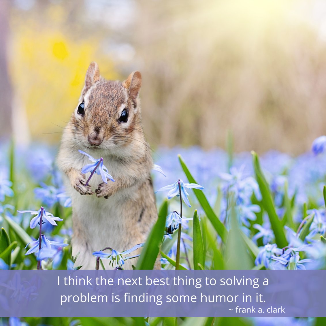 AprilLemarr's tweet photo. I think the next best thing to solving a problem is finding some humor in it.
-Frank A Clark https://t.co/2fL2Dohy33