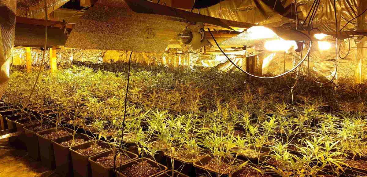 Endesa's tweet photo. La capitana de la @guardiacivil Elena Cogollo destaca la colaboración con las empresas eléctricas para detectar actividades ilegales.

"Lo que muchas veces nos facilita es que la mayoría, por no decir todas, las plantaciones de marihuana defraudan fluido eléctrico". https://t.co/FKBiiGAwdz