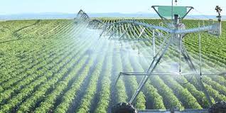 obertjiri's tweet photo. Did you know that the country currently boasts 10,700 water bodies with a capacity to irrigate more than 2 million hectares? However, only 220,000 hectares are currently under irrigation. Join hands with @MoLAFWRD_Zim to develop sustainable and affordable irrigation facilities. https://t.co/PGYhDt5RLW