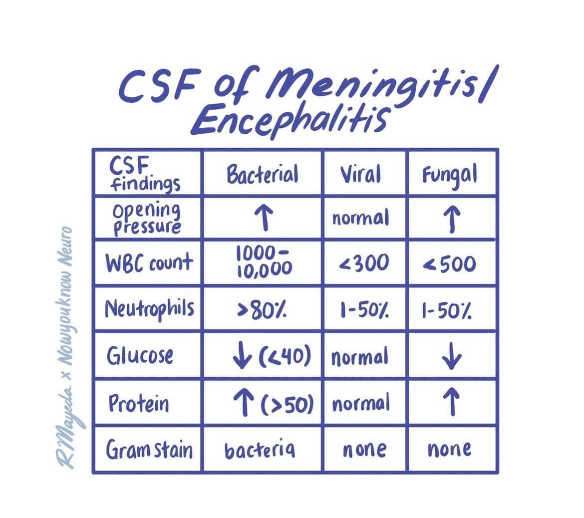 OGdukeneurosurg's tweet photo. Meningitis csf findings by now you know neuro https://t.co/xQIZTzjAnG