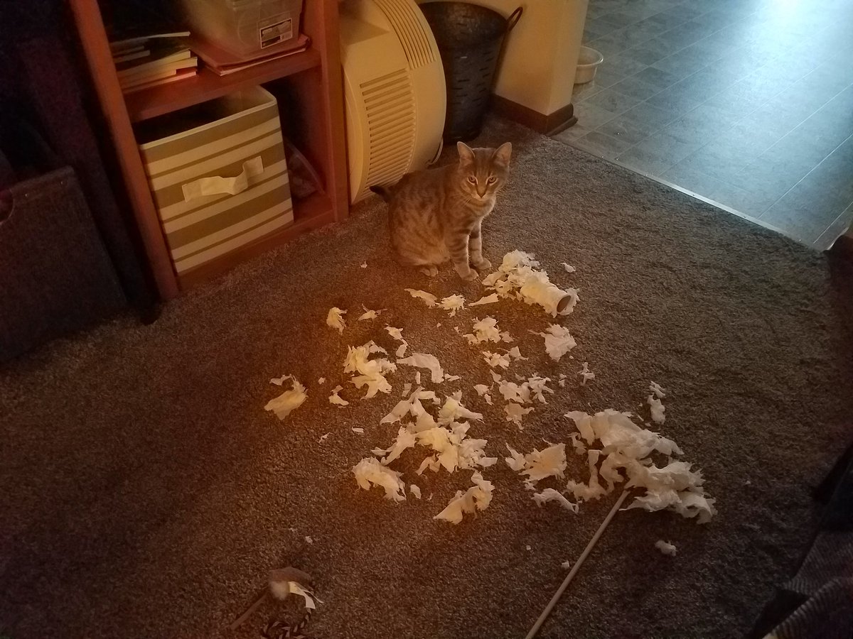 Nate7383's tweet image. We tried that. Had to fire him.