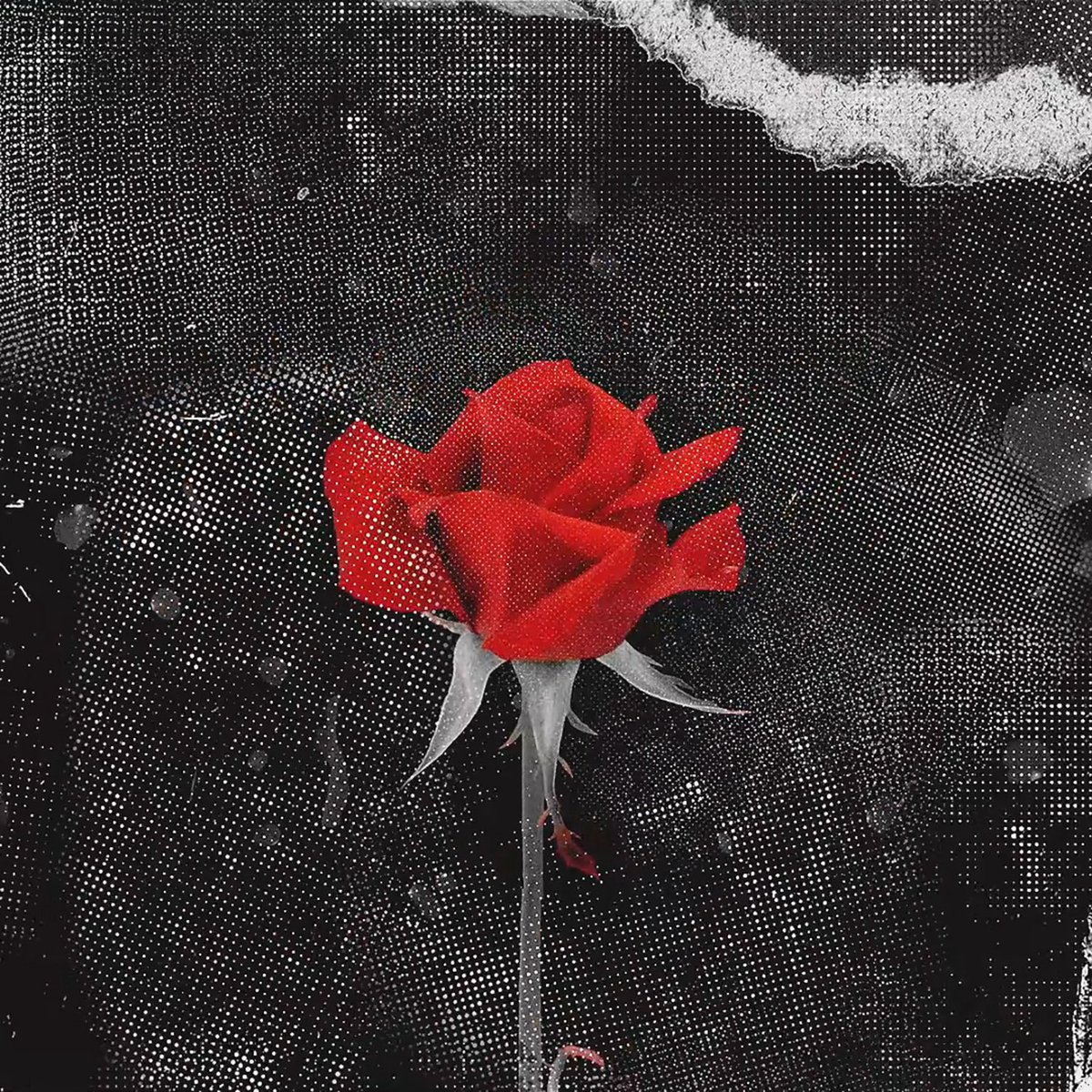 SaidTheSky's tweet photo. I never let anyone in ‘till I let you. https://t.co/Vpy1bPQ440