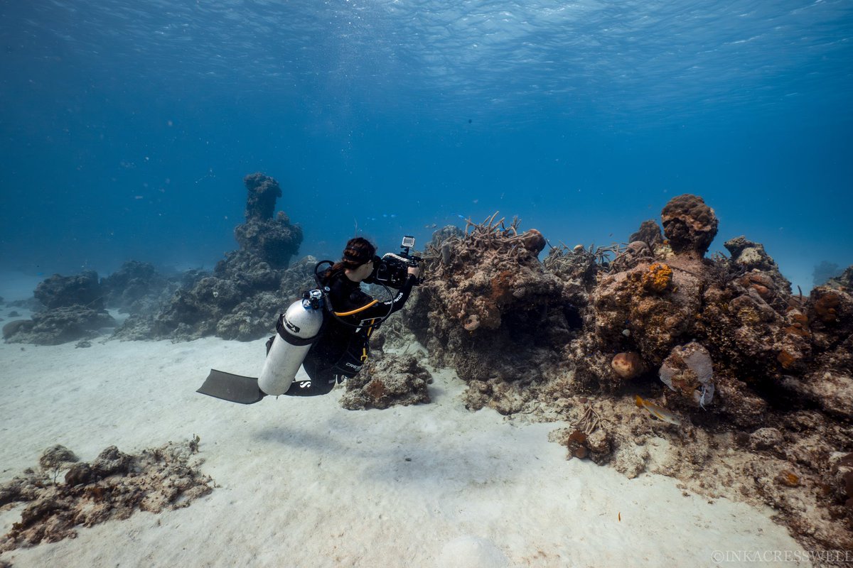 Over the next few weeks, I'll be delving deeper into my journey to become a Reef Rescue Diver with my amazing friends at the Reef Rescue Network, sharing insights into what changes you can make to protect our reefs, explaining how coral nurseries work and…