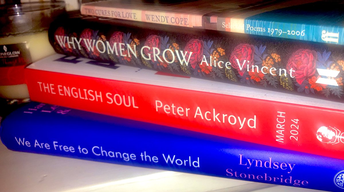 DrElizabethMac1's tweet photo. Super tired as we count down to #HalfTerm & #ReadingWeek! This glorious #bookpile is waiting for me & I can’t wait. I’m going to finish @LyndseyStonebri incredible #WeAreFreeToChangeTheWorld & then enjoy these other beauties all from the lovely folk at magical @Bookwells #Books https://t.co/VQWRt0gOLv