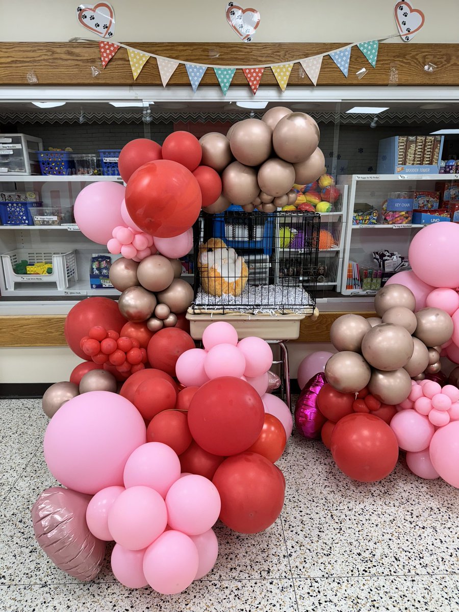 Bulldogs are excited to connect with our new friend through One District, One Book at Applegate. 🐹Meet Humphrey! 📚 Let's embark on this shared reading journey and make lasting memories together. #ODOBAdventure #ApplegateHumphreyReads @CRAMrMillaway @Amy_Cerulo