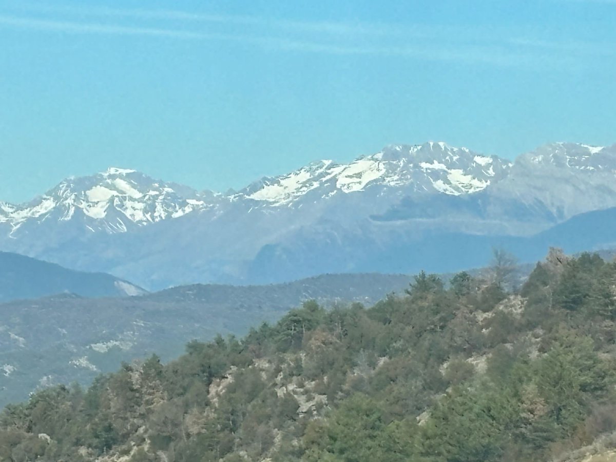 Should I stay or should I tow now tweet media