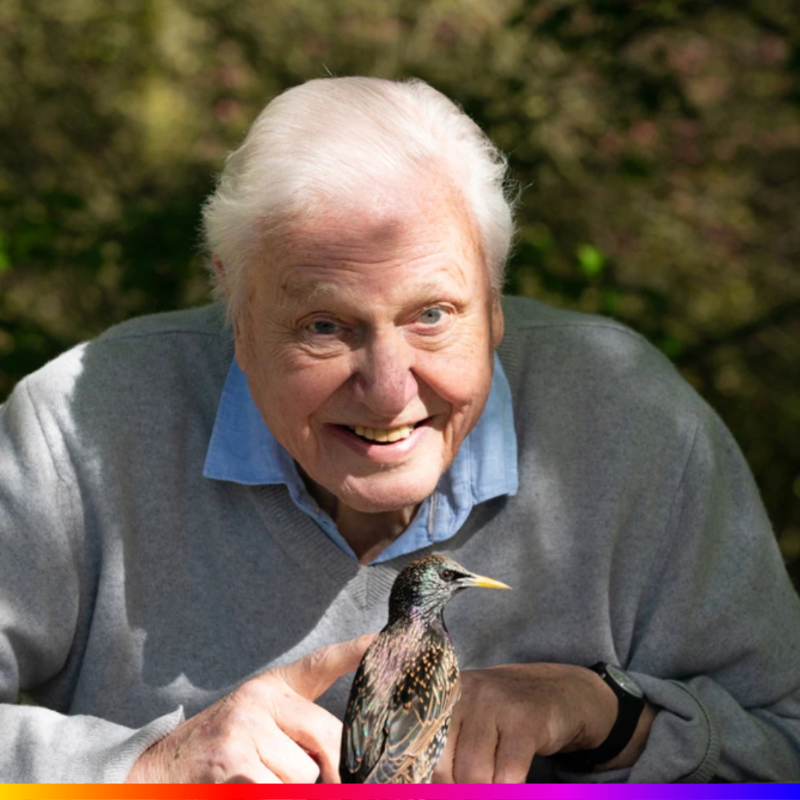 SkyGroup's tweet photo. A surprising view of the natural world through the medium of sound, is coming to #SkyNature &amp; @NOW on 25 Feb 🦁 🐠 🐦

The Secret World of Sound with David Attenborough, is the newest ground-breaking nature series exploring the ways animals use sound to survive and thrive.

🔗⬇