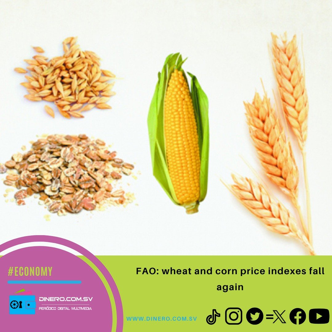 dinerocomsv's tweet photo. #Economy The FAO food price index fell again in January due to the drop in wheat and corn prices
Read it here: https://t.co/6TzILQBcR2
#FAO #cornprice #suppliesharvest https://t.co/mJv3FFF6Xp