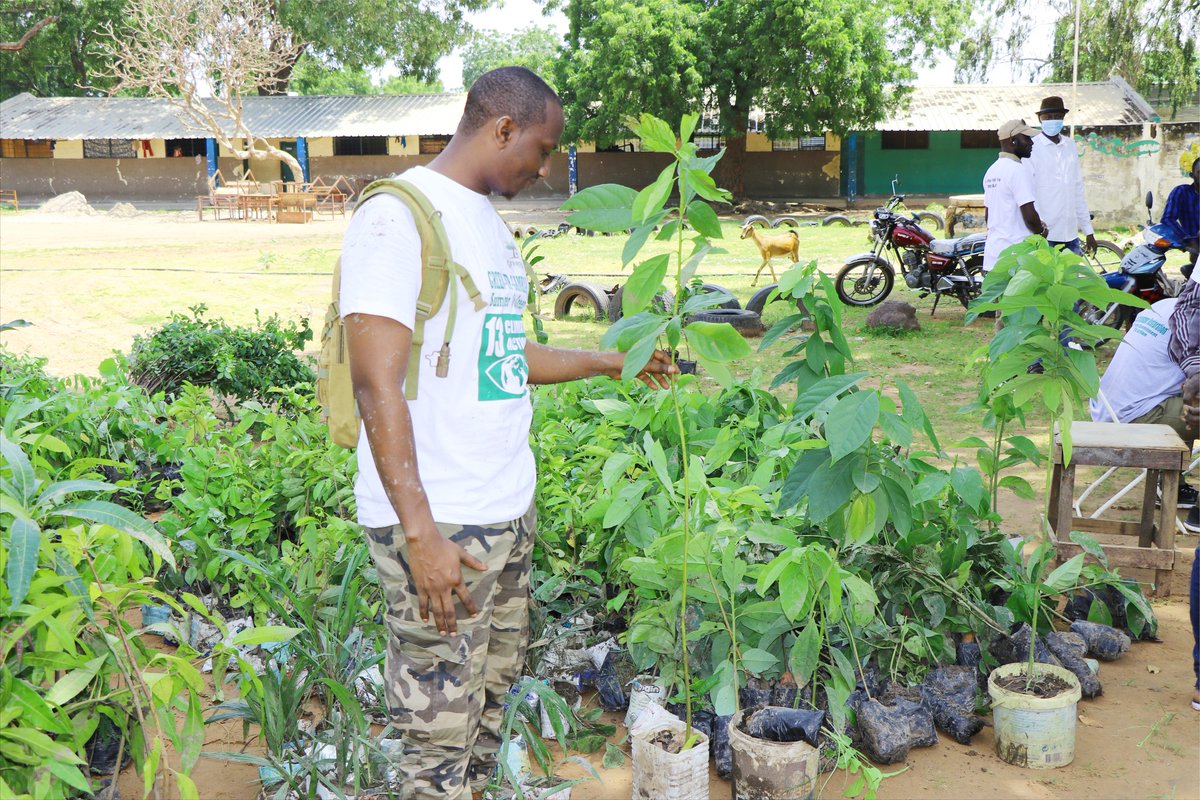 🌳 Embracing the power of green! Excited to be part of tree planting initiatives to foster a greener, healthier community. Let's sow the seeds of sustainability and watch our neighborhoods flourish! 🌿🌍 #GreenCommunities #TreePlanting 
#SustainableLiving