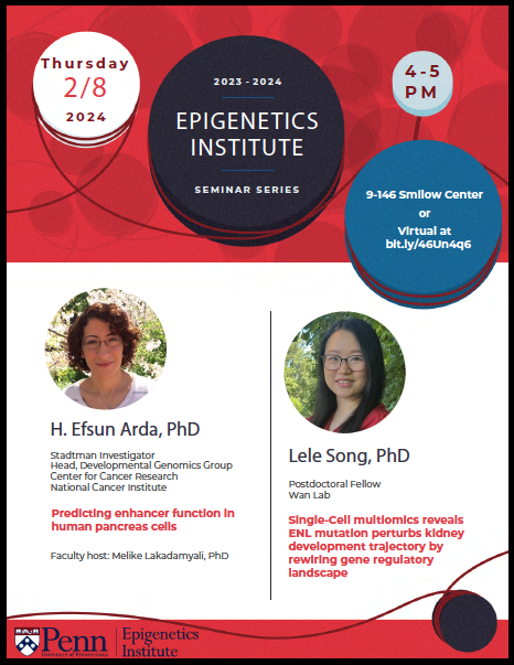 We are looking forward to hosting H. Efsun Arda, PhD this Thursday, 2/8 at 4PM. After her talk, we'll hear from Lele Song, PhD from the @LilingWanLab. Please join us in Smilow 9-146 or online!