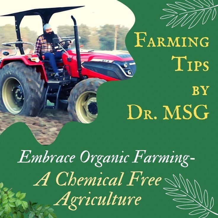 Learn advance #AgricultureTips by Saint MSG !

Today's agriculturist use chemicals to expand their products. 

But they don't think about the harmful effects of chemicals. 

GuruJi promotes #OrganicFarming & he always says we should switch to this & as it has no harmful effects.