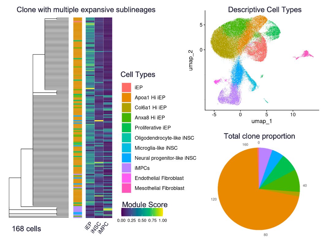 I had a great time at #AGBT24 presenting my work on high-res single-cell lineage tracing in cell reprogramming!