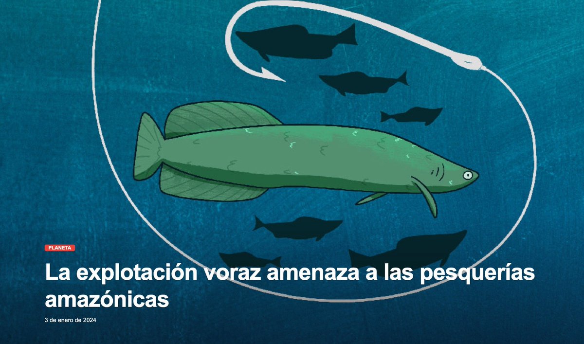 WCS Ecuador 💚💙 tweet media