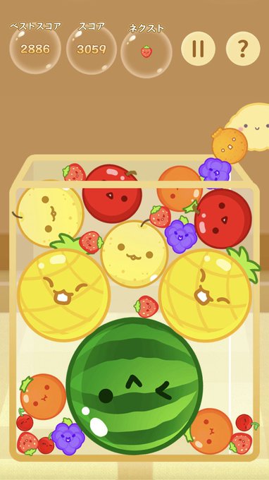 「kiwi (fruit)」 illustration images(Latest)
