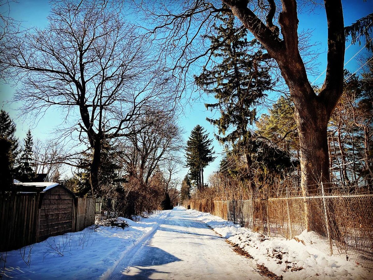 tebovision's tweet photo. #RunningTrails #TrailRunning #NatureRun #RunInspiration #HealthyLifestyle #FitnessMotivation #RunningGoals #52AndFit #FitnessJourney #ActiveLifestyle #FitOver50 #OutdoorFitness #RunningCommunity #FitnessAdventure #NatureLover #RunEverywhere https://t.co/JPJcJSyqQP