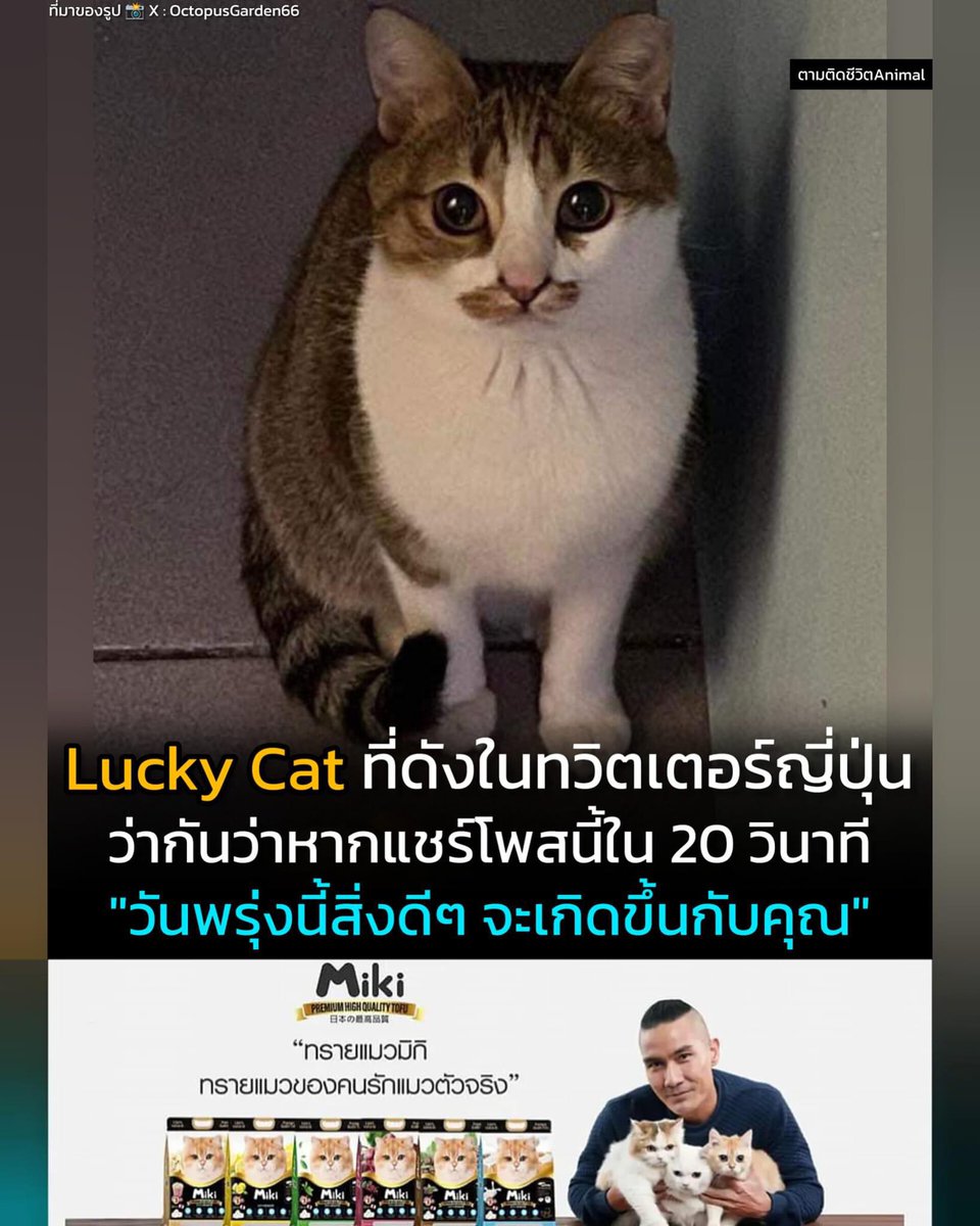 ไม่เชื่อหรอก