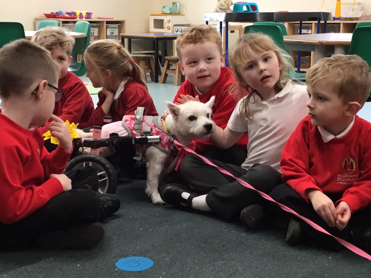 We had a lovely visit from @pumpkin_charity today as part of Children’s Mental Health Week.  Pumpkin, a dog who is disabled and uses a wheelchair, certainly put a lot of smiles on lots of little faces.
#childrensmentalhealthweek2024