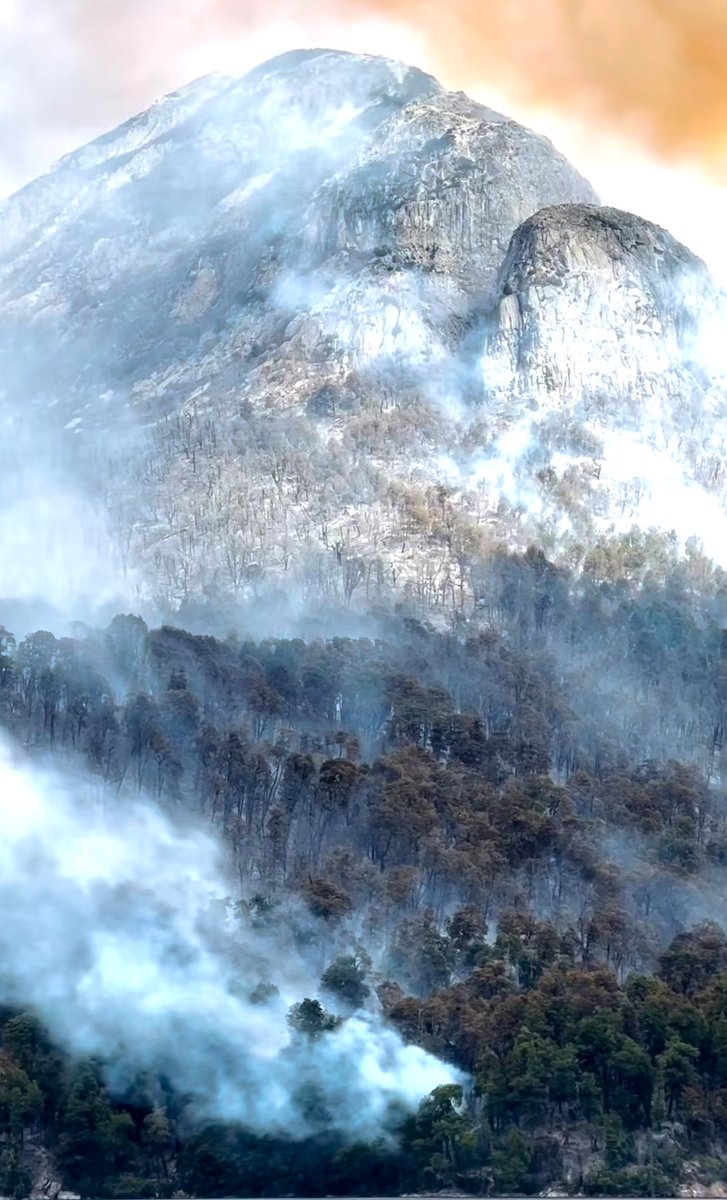 EL “ASADITO” MAS CARO DEL MUNDO

🔥Todo indica que entre el mediodía del sábado 3 y la medianoche del domingo 4 un grupo de personas no identificadas (aún) hicieron un "asado" en las costas del lago Nahuel Huapi, sobre el Brazo Tristeza.

⚠️Una zona donde esta totalmente