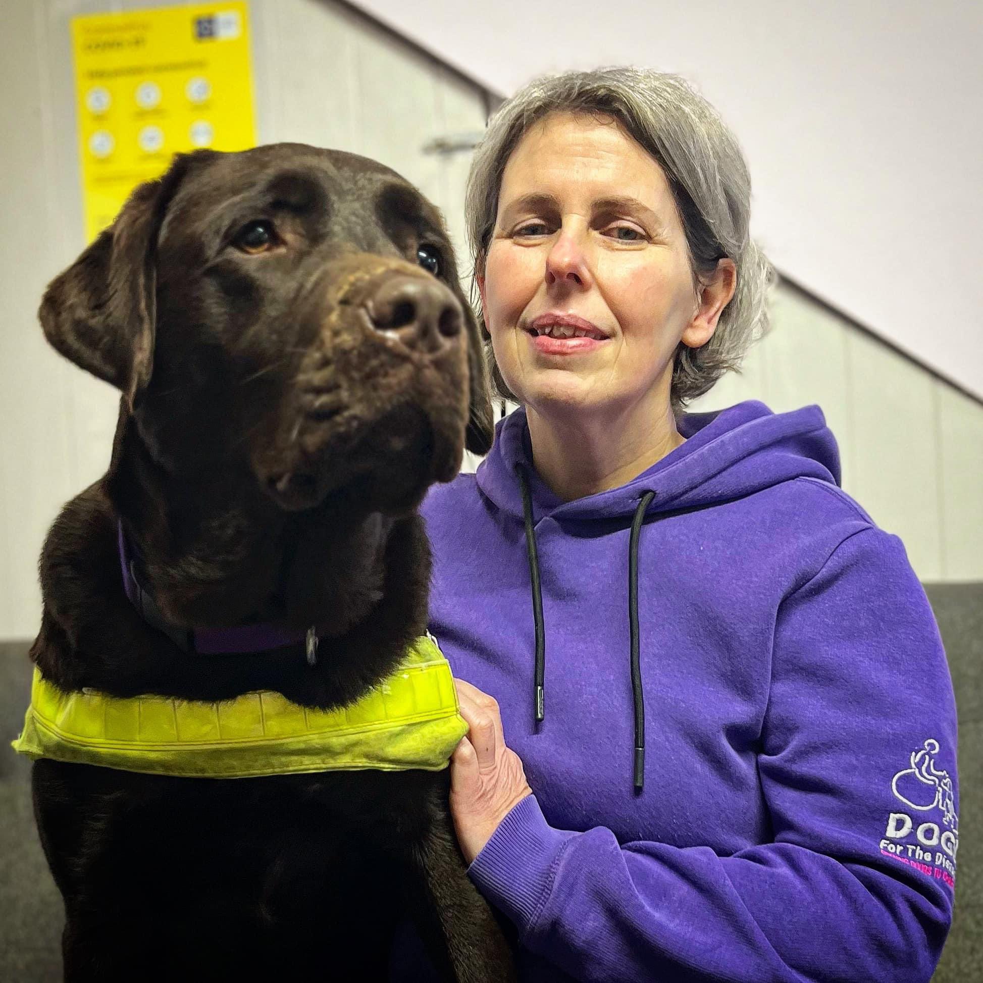 Irish dogs best sale for the disabled