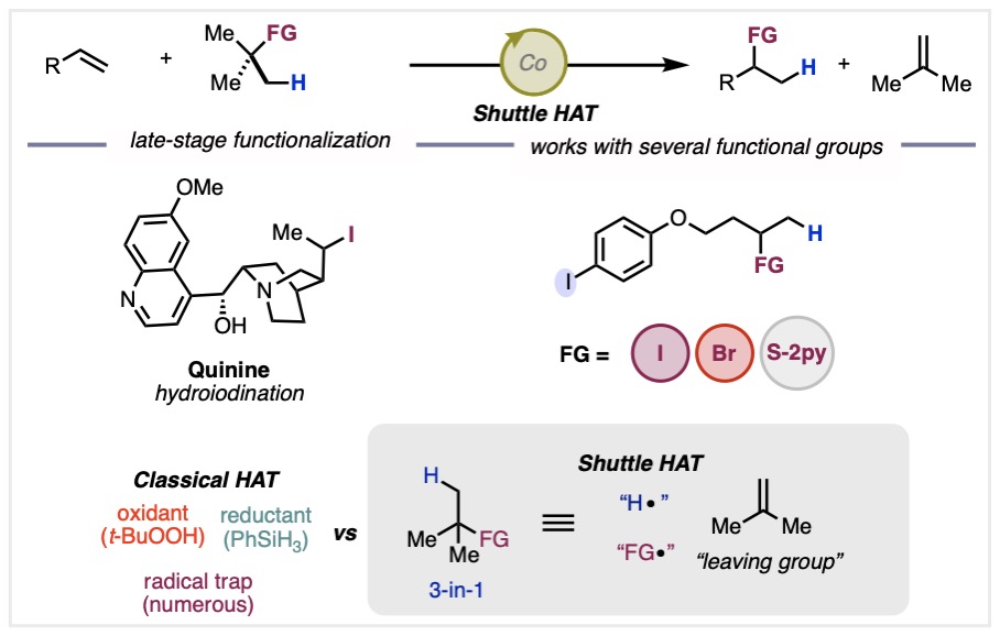 Shuttle HAT: A simple solution for all your MHAT needs. No more wasting silanes and/or oxidants to generate your Co–H – Now all you need is a C–H bond.
chemrxiv.org/engage/chemrxi…