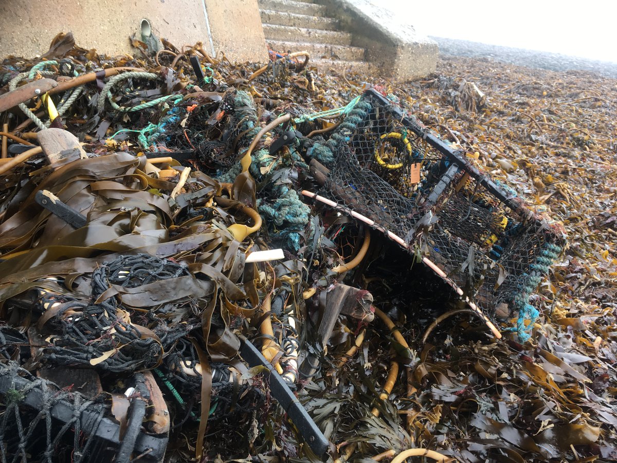 📷Attention all Commercial fishers 📷 Let DEFRA know what impacts the storms have had on lost gear. The survey aims to understand fishing gear & financial losses, the causes, and also what actions fishers take. Follow the link to complete the survey - online.ipsosinteractive.com/mriweb/mriweb.…