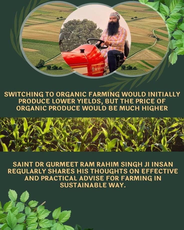 Farming should be done in innovative way to increase crop yield as well as farmers should know the benefits of organic farming,So to guide farmers about #OrganicFarming Saint Gurmeet Ram Rahim Ji gives time to time #FarmingTips that is beneficial for agriculture #AgricultureTips