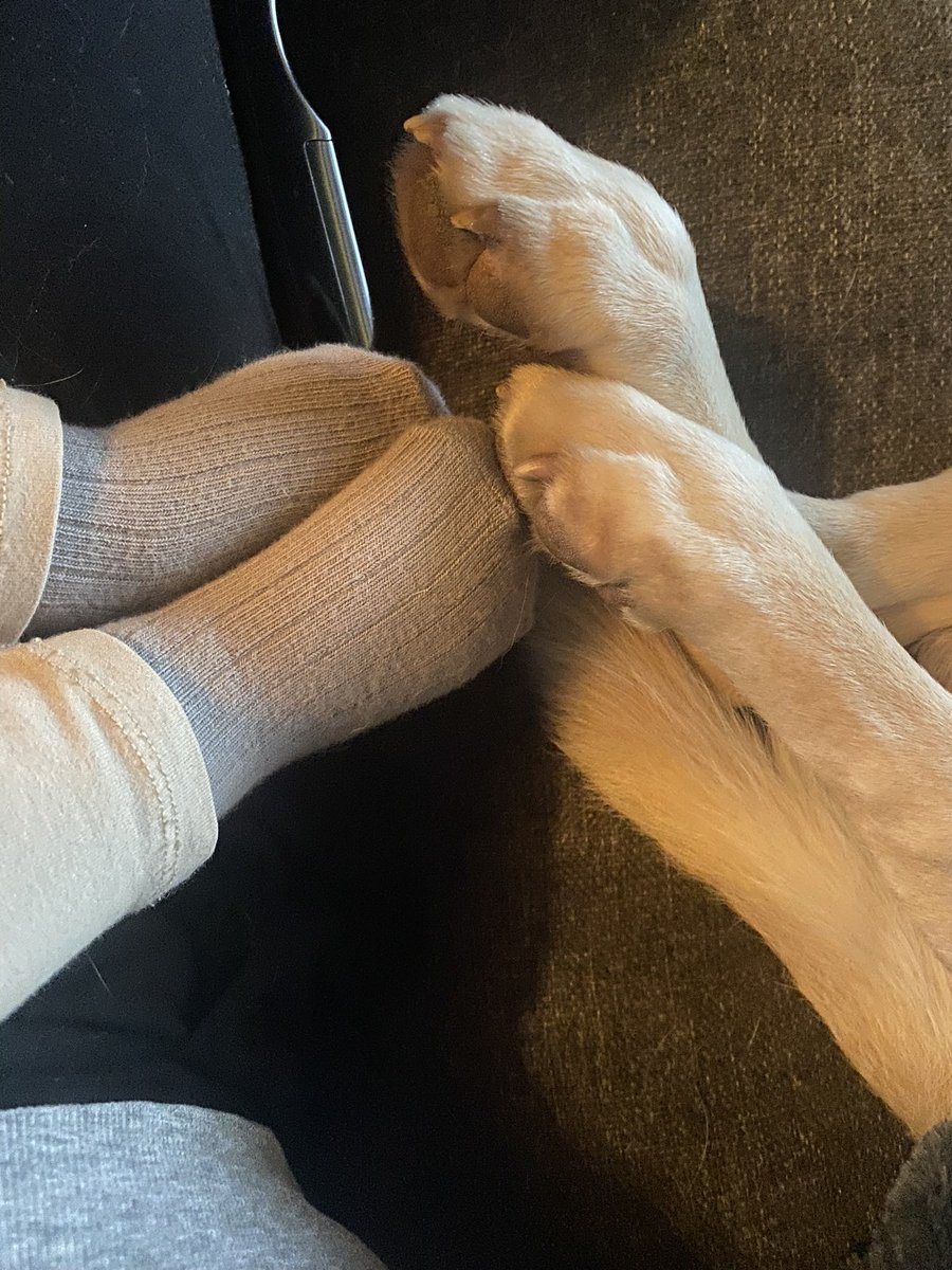 ClaireBond tweet media