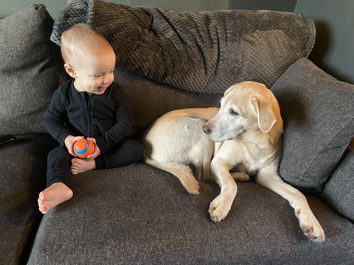 ClaireBond tweet media