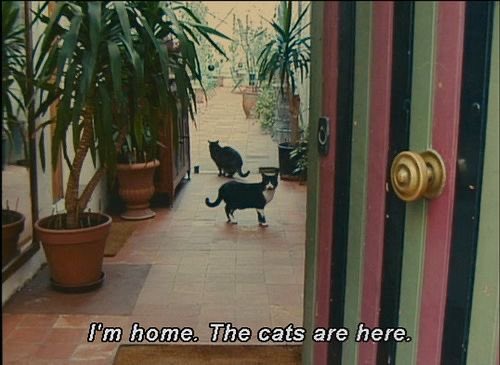 agnès varda archive (@vardaarchive) on Twitter photo 