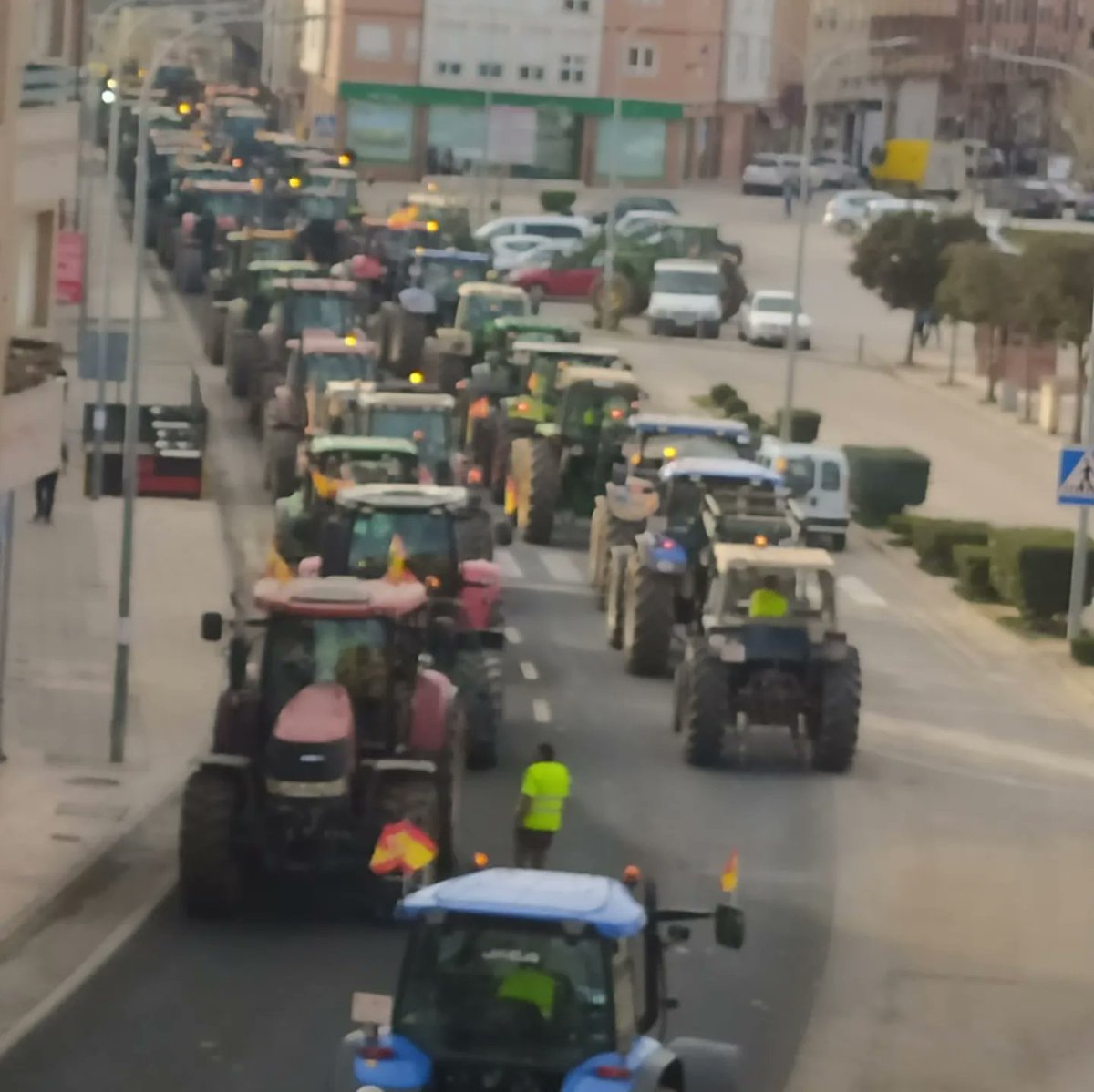 Ayto_SEG's tweet photo. Por nuestros agricultores. Por nuestros ganaderos.
Por nuestra tierra. https://t.co/n4qjfxgORV