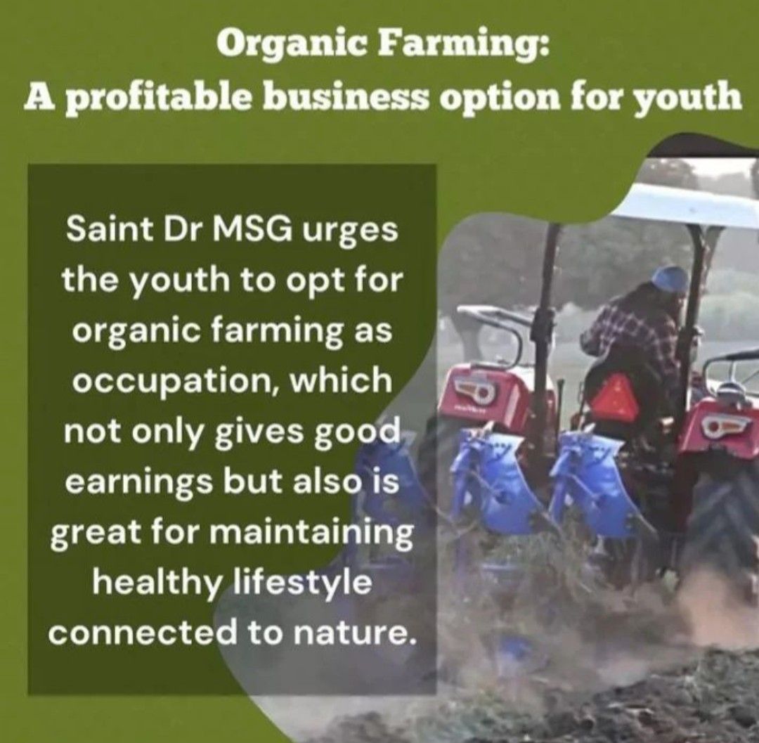 Organic farming is best for business and health.  #SaintDrMSG

 #FarmingTips #AgricultureTips #OrganicFarming #Farming
 #FarmingTipsBySaintMSG
  #ScientificFarming
  #AgricultureTipsByMSG #DeraSachaSauda