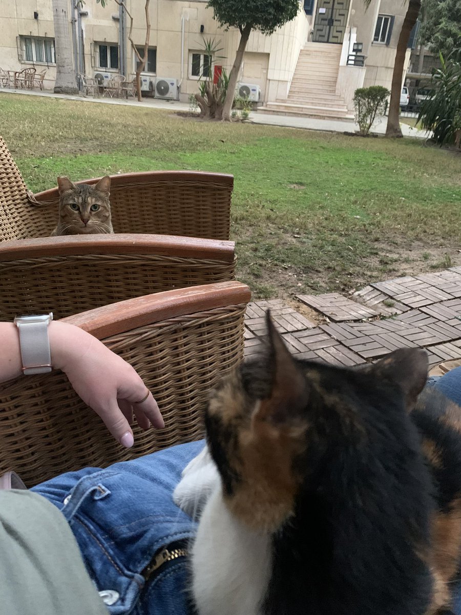 Dr Stephanie Boonstra tweet media