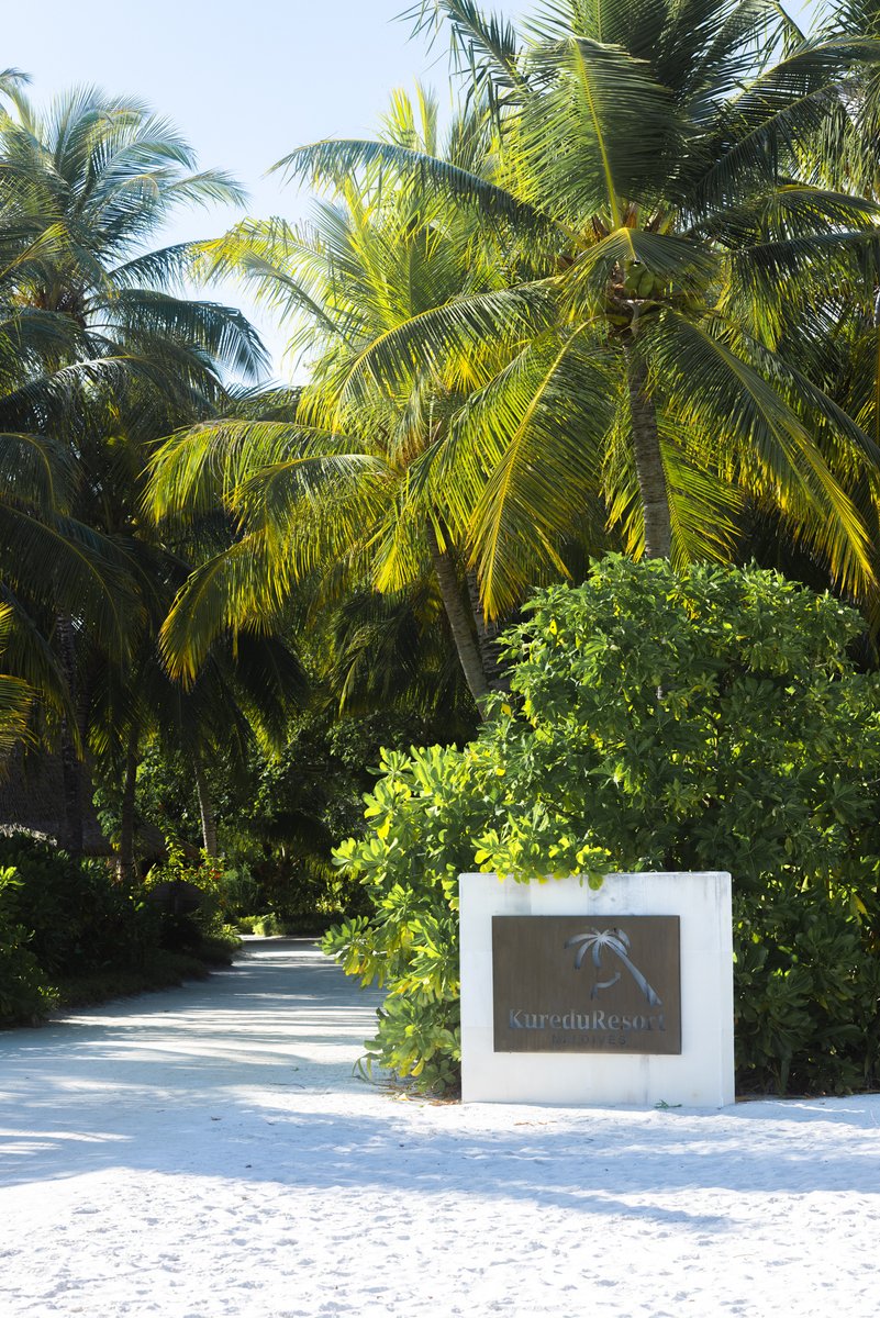 Sometimes, the simplest scenes hold the deepest beauty 🌸